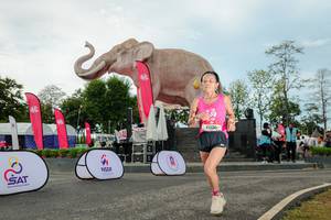 BIB: 
                            <button type="button" onclick="openModal(26529055)" class="btn btn-primary btn-sm float-right btn-popup" data-toggle="modal" data-target=".modal-high-quality">
                        <i class="fas fa-shopping-cart"></i> Add to Cart
                    </button>
                                            <button type="button" onclick="isThisMe(26529055, true)" class="btn btn-success btn-sm float-right btn-popup btn-isme hidden" data-toggle="tooltip" data-placement="bottom" title="นี่คือรูปของคุณใช่ไหม คลิกที่นี่เพื่อเอาเข้าอัลบั้ม">
                        <i class="fas fa-plus"></i> Add to album
                    </button>
                    <button type="button" onclick="isThisMe(26529055, false)" class="btn btn-warning btn-sm float-right btn-popup btn-isnotme hidden">
                        <i class="fas fa-ban"></i> Remove from album
                    </button>